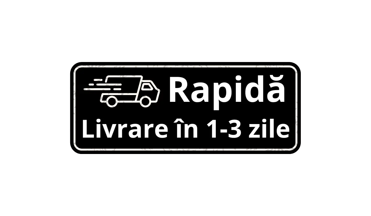 Livrare rapidă Pictogramă