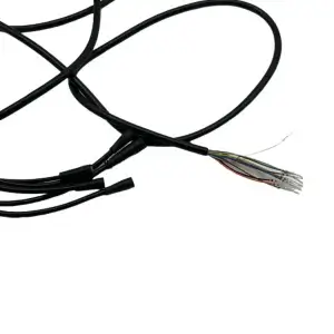 Displey Ey2 S Kruiz Kontrol 1650mm Za Dualtron Togo Limited.webp