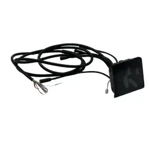 Display EY2 cu control de croazieră 1650MM pentru trotineta electrică DUALTRON TOGO LIMITED