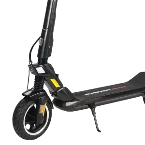 Dualtron Dolphin Manshon.webp