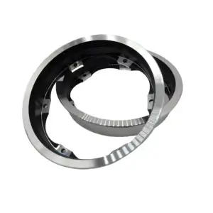 Inel pentru motor trotinetă electrică DUALTRON VICTOR / SPIDER MAX / NEW VICTOR LUXURY / NEW VICTOR / NEW VICTOR LUXURY PLUS – set complet